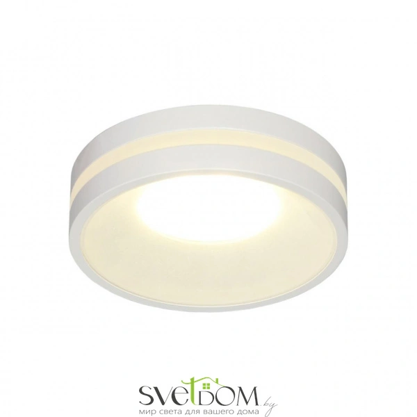 Накладные светильники Omnilux OML-102709-01 от Магазина Svetdom.by
