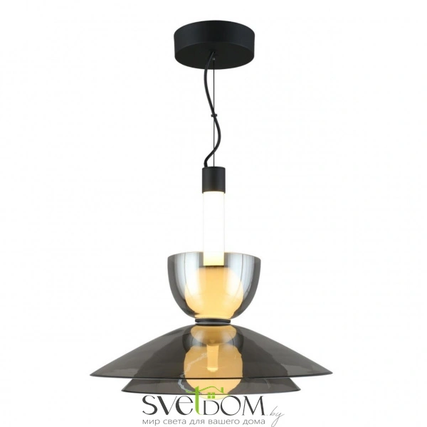 Подвесные светильники Aployt APL.772.16.12 от Магазина Svetdom.by