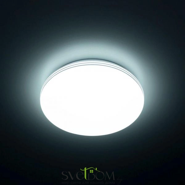 Citilux Симпла CL71424SV LED Светильник с датчиком движения