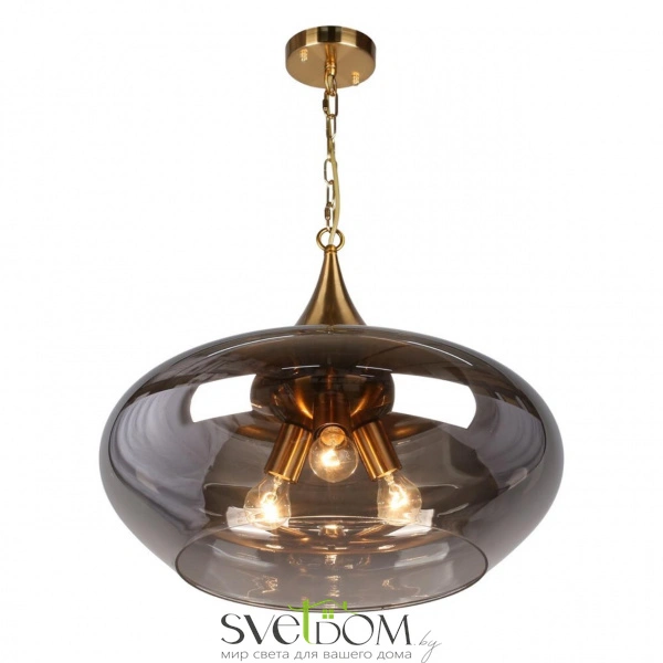 Подвесные светильники Aployt APL.601.16.03 от Магазина Svetdom.by