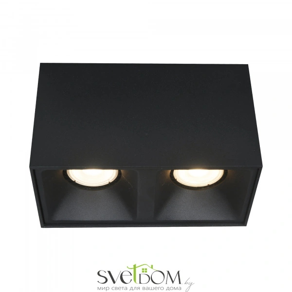 Накладные светильники ST LUCE ST168.402.02 от Магазина Svetdom.by