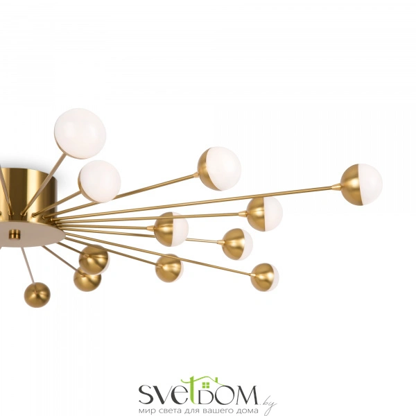 Потолочный светильник Freya FR5242CL-24BS