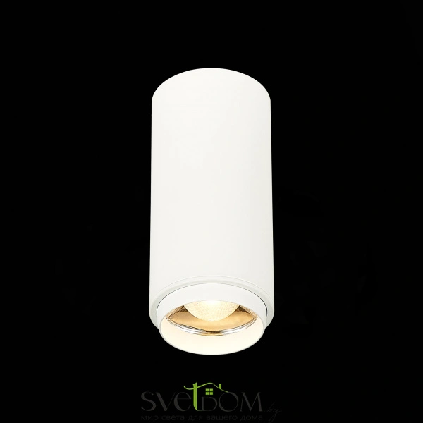 ST600.532.10 Светильник потолочный Zoom Белый LED 1*10W 3000K 1 000Lm Ra>80 15-60° IP20 D59xH130 170 Накладные светильники