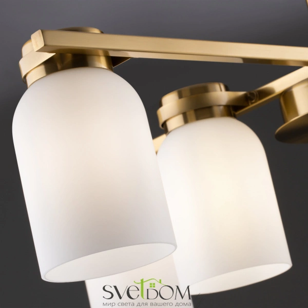 Подвесной светильник Freya FR5446PL-06BS