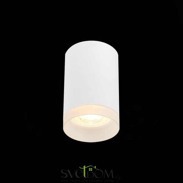 ST100.502.01 Светильник потолочный Белый GU10 1*50W IP20 D64xH99 220V Без ламп Накладные светильники