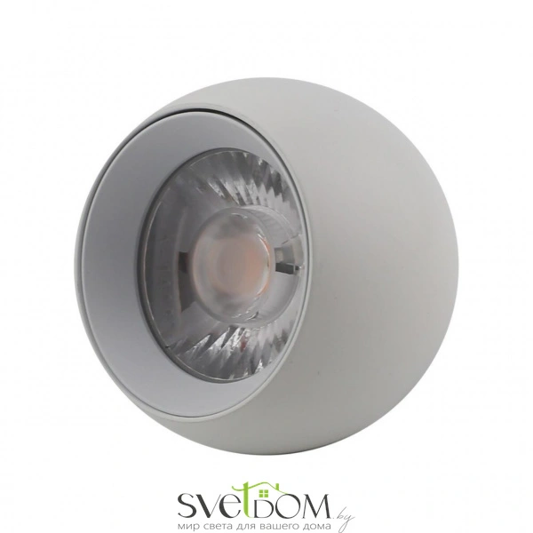 Накладные светильники Aployt APL.0055.09.05 от Магазина Svetdom.by