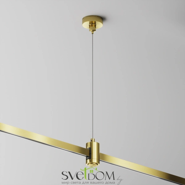 Подвес тросовый Hang одинарный Flarity латунь TRA157SW-S1-BS