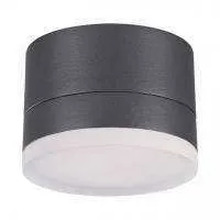 358084 STREET NT19 385 темно-серый Ландшафтный светильник IP54 LED 3000К 12W 220V KAIMAS