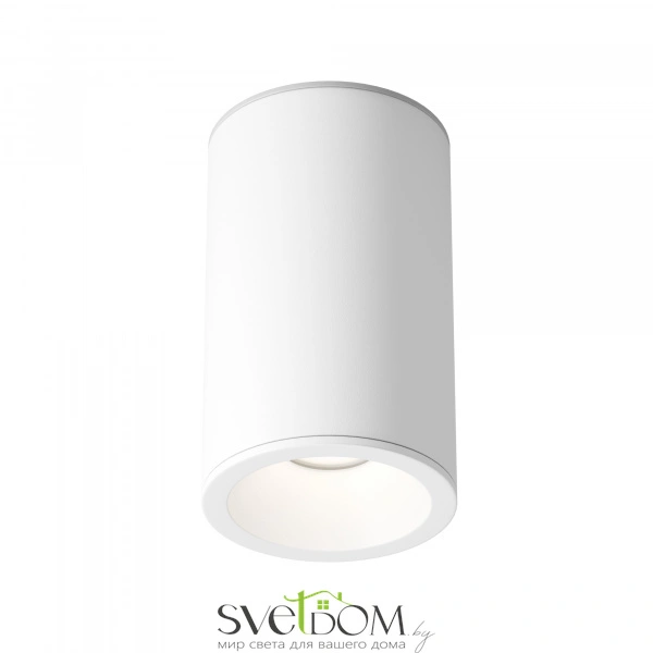Потолочный светильник Technical C029CL-01-S-W