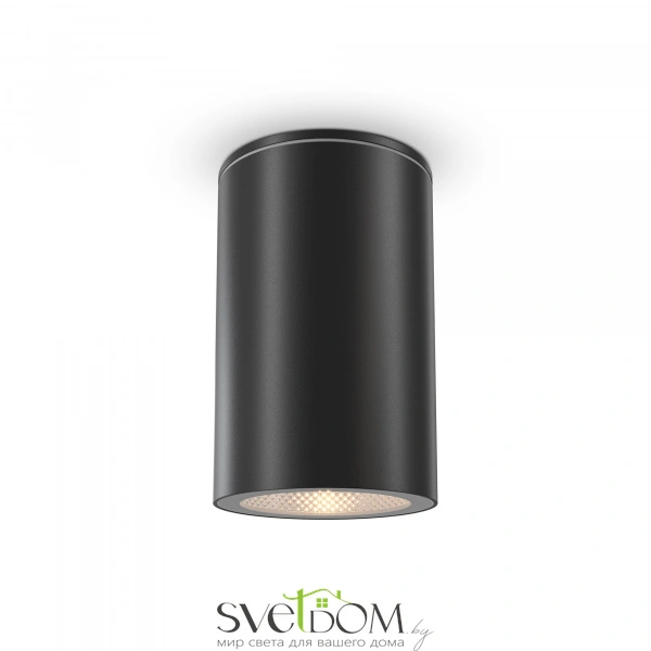 Потолочный светильник Outdoor O307CL-01B