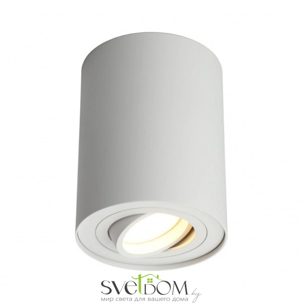 Накладные светильники Omnilux OML-101009-01 от Магазина Svetdom.by