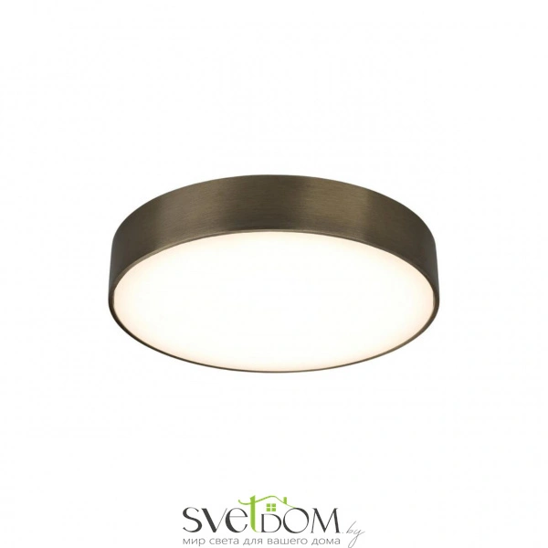 Настенно-потолочные светильники Aployt APL.0114.29.24 от Магазина Svetdom.by