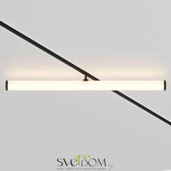 Трековый светильник TR086-2-25W3K-B