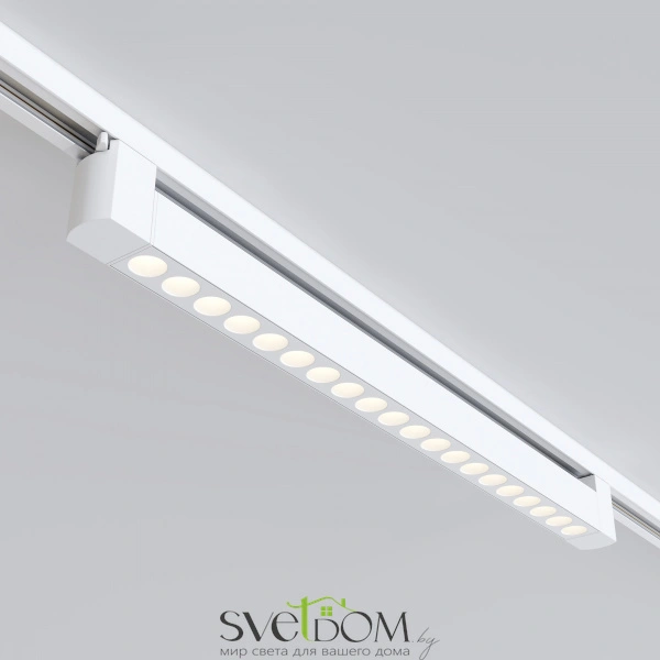 Трековый светильник TR010-1-20W3K-M-W