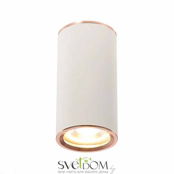 ST111.527.01 Светильник потолочный Белый GU10 1*50W D54xH105 220V Без ламп Накладные светильники