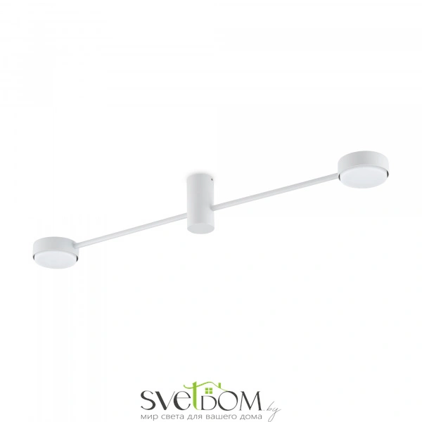 Потолочный светильник Freya FR5363CL-02W1