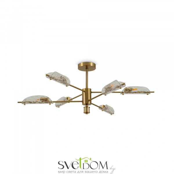 Потолочный светильник Freya FR5420CL-06BS