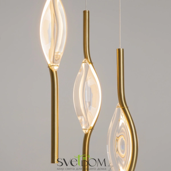 Подвесной светильник Maytoni MOD347PL-L24BS3K