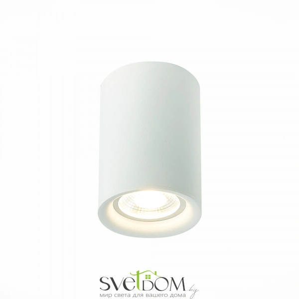 ST114.507.01 Светильник потолочный Белый GU10 1*50W  IP20 L65xW65xH93 220V Без ламп Накладные светильники