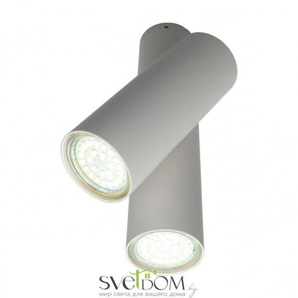 Настенно-потолочные светильники Aployt APL.006.02.02 от Магазина Svetdom.by