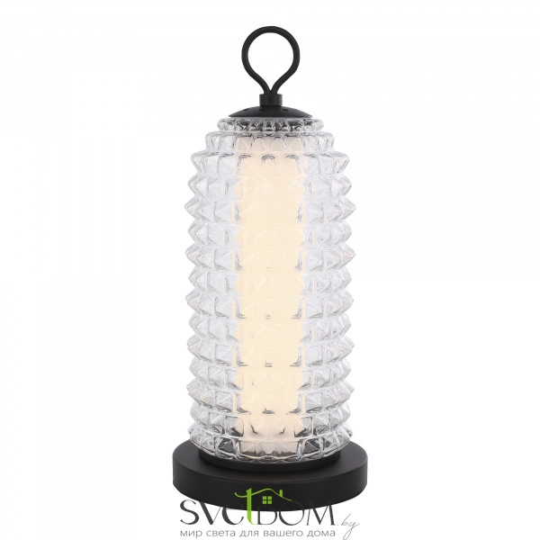 SL6144.404.01 Прикроватная лампа ST-Luce черный/прозрачный LED 1*12W 4000K SAGUARO