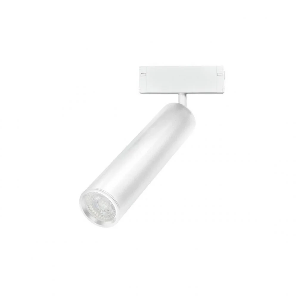 Светильник трековый Aployt  APL.0210.11.01