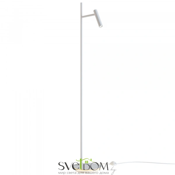 Напольный светильник (торшер) Maytoni Z010FL-L8W3K