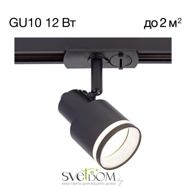 CITILUX CL565T11 Bruno Черный Св-к Трековый