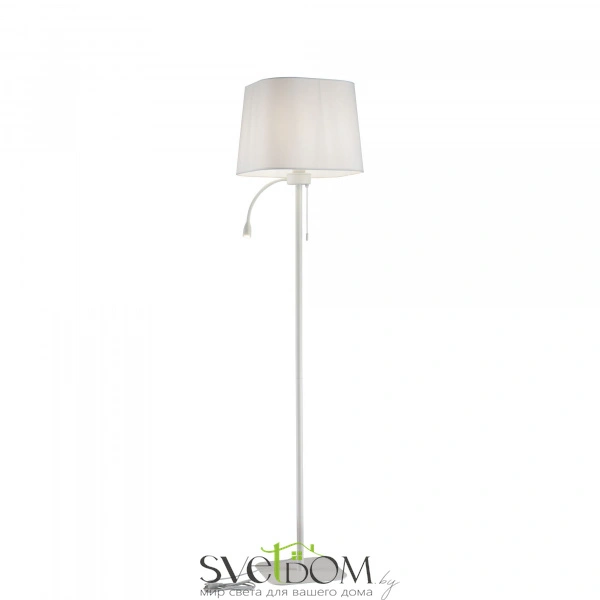 Напольный светильник (торшер) Maytoni Z001FL-L3W-1W