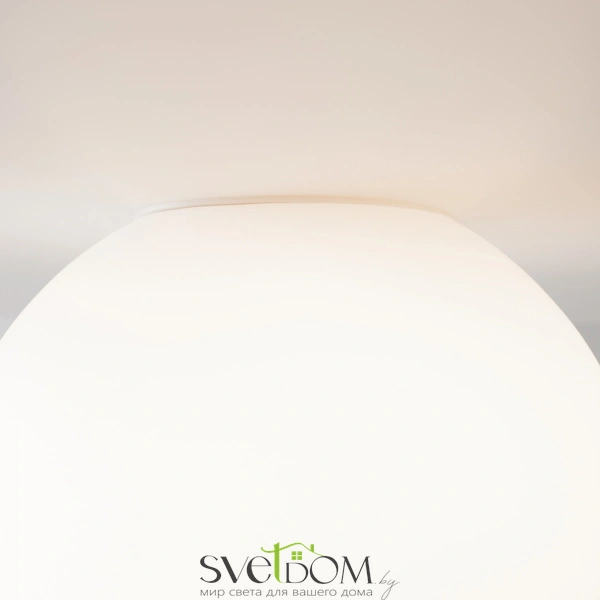 Подвесной светильник Maytoni MOD427PL-L20B3K1