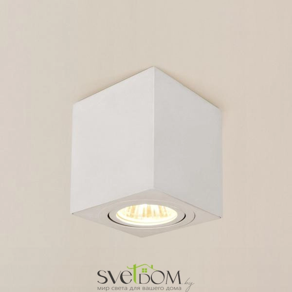 Citilux Дюрен CL538211 Светильник накладной поворотный Белый