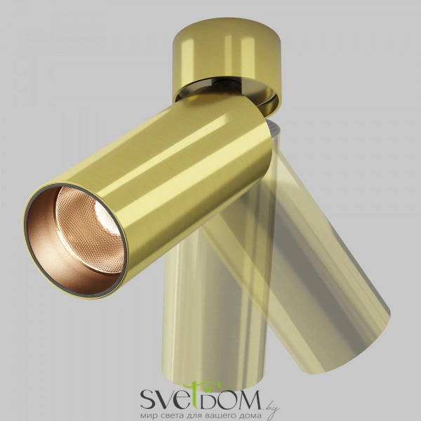 Потолочные светильники Maytoni C055CL-L12W2.7K-W-BS от Магазина Svetdom.by