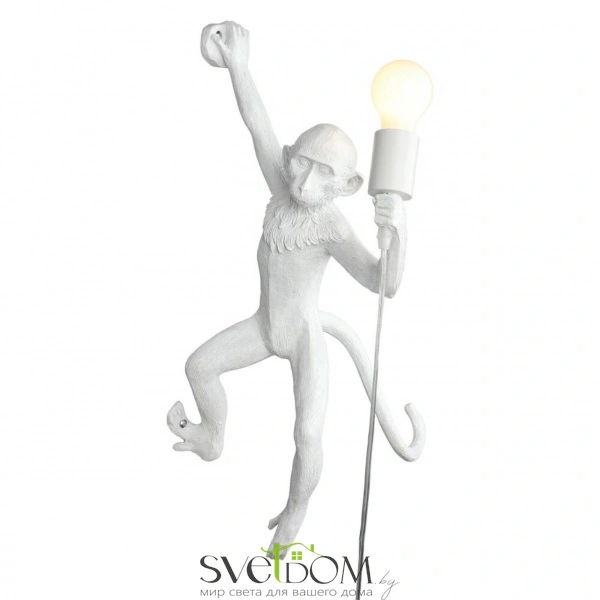 Настенные светильники APL.309.11.01 Aployt | Svetdom.by