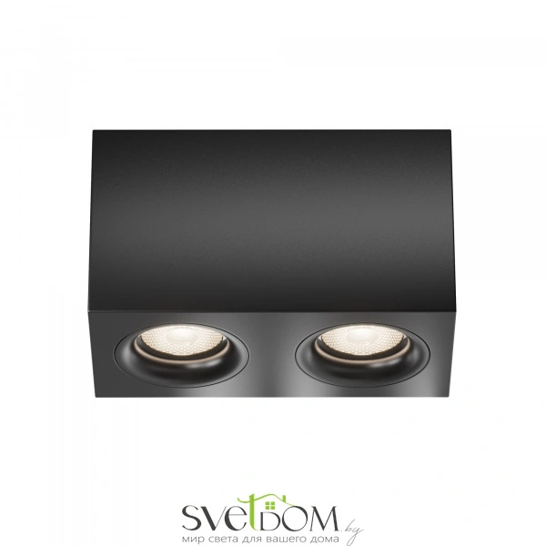 Потолочный светильник Technical C013CL-02B