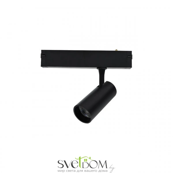 Светильник трековый Aployt  APL.0205.20.10