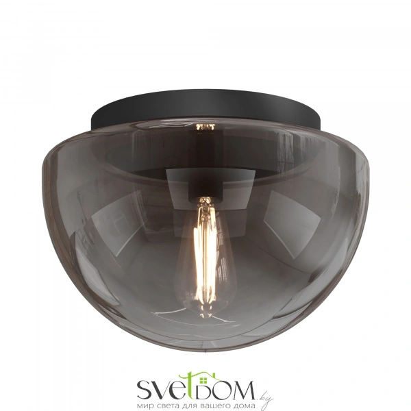 Потолочный светильник Maytoni MOD270CL-01B