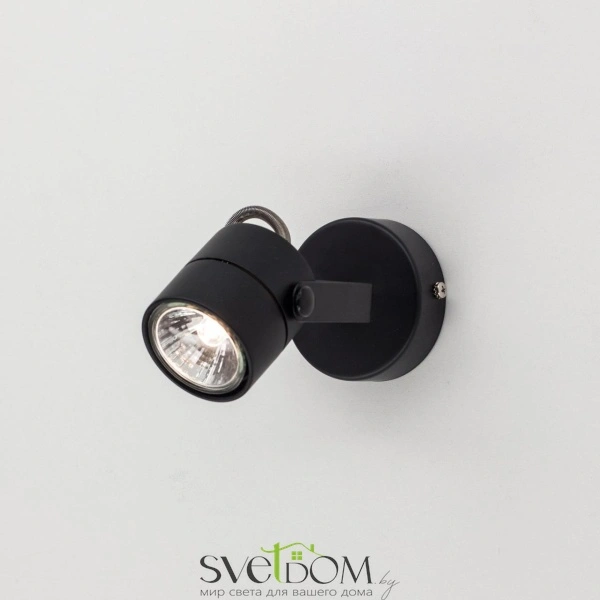 Citilux Ринг CL525512 Спот поворотный Чёрный