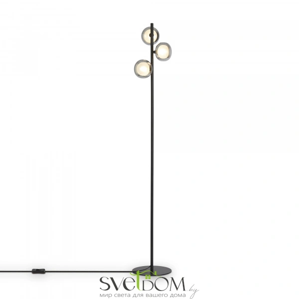 Напольный светильник (торшер) Freya FR5435FL-03B