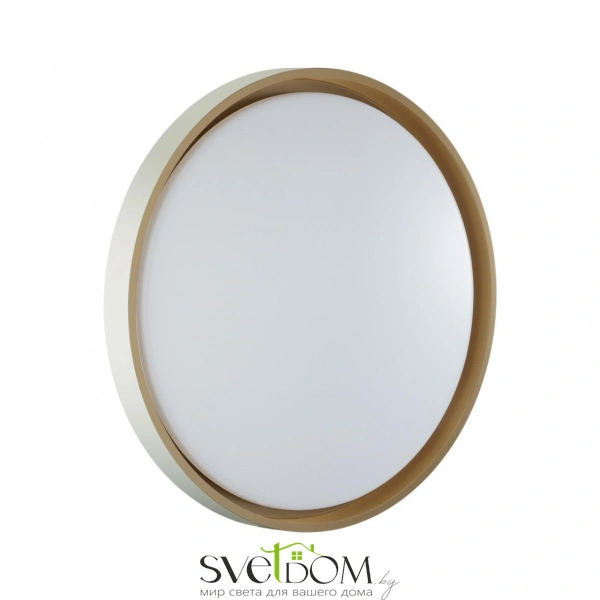 7645/ELN COLOR SN 158 Светильник пластик/белый/оранжевый LED 76Вт 3000/4000/6000К D520 IP43 CCT KISIL