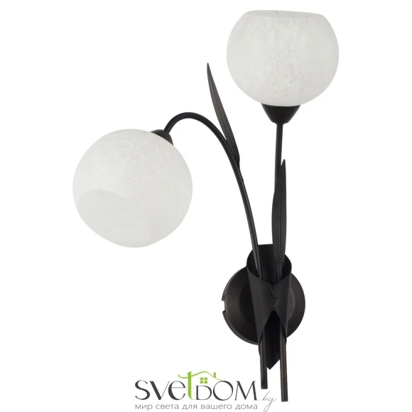 Настенный светильник Lussole Bagheria LSF-6291-02 E14 Lussole