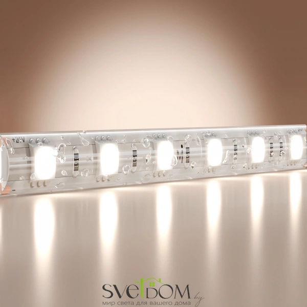 Светодиодная лента Base 24В 5050 14,4Вт/м 6000K 5м IP 65 201194