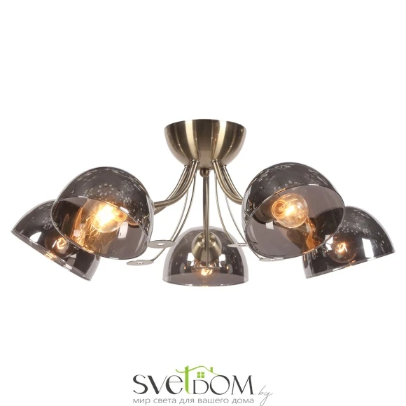 Люстра потолочная Lussole Gresham LSP-8368 E14 Lussole
