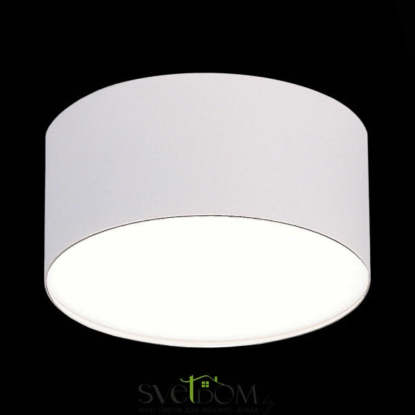 ST606.542.12 Светильник потолочный Белый LED 1*12W 4000K 1 080Lm Ra>90 120° IP20 D120xH55 185-265V Накладные светильники