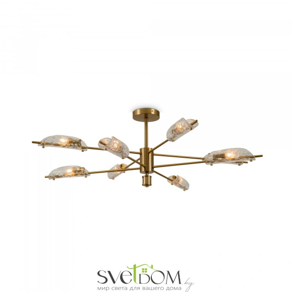 Потолочный светильник Freya FR5420CL-08BS