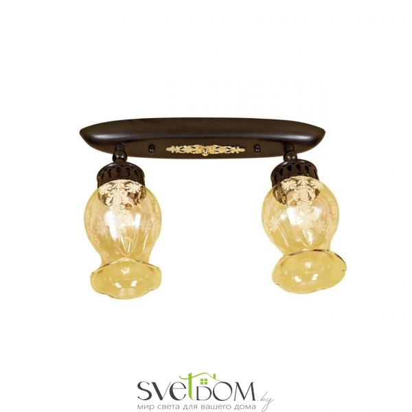 Citilux Метафора CL413121 Светильник с поворотными плафонами