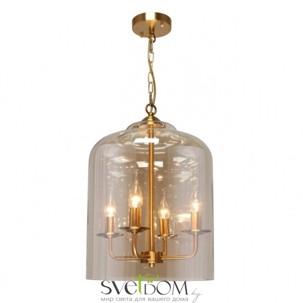 Подвесные светильники Aployt APL.603.06.06 от Магазина Svetdom.by