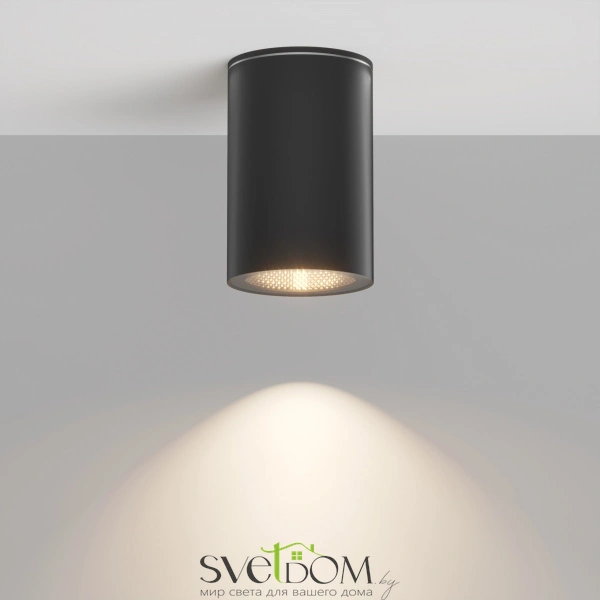 Потолочный светильник Outdoor O307CL-01B