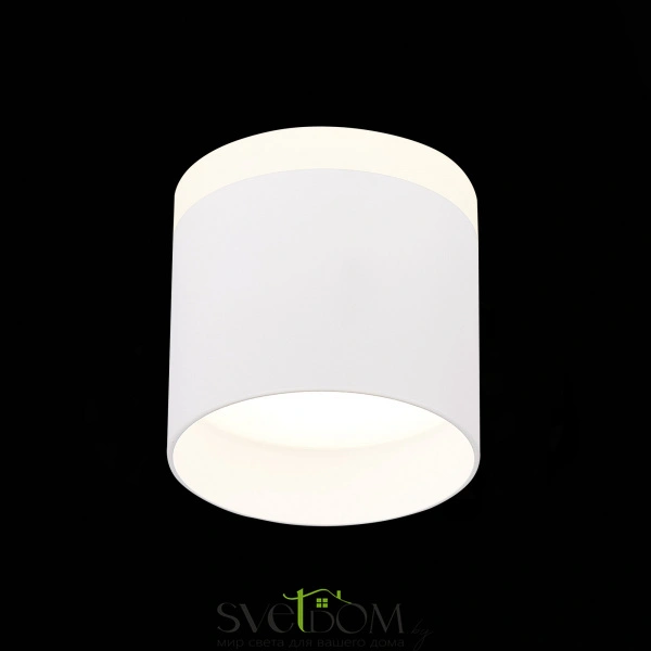 ST102.542.09 Светильник потолочный Белый LED 1*9W 4000K 702Lm Ra>80 120° IP20 D79xH75 170-240V Накладные светильники