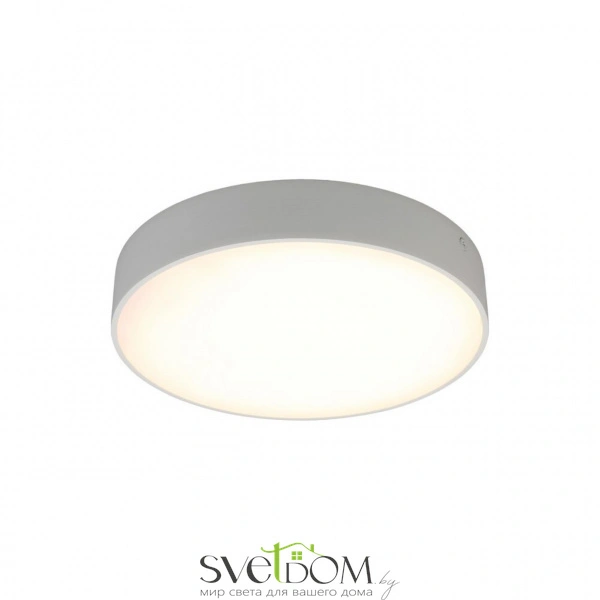 Настенно-потолочные светильники Aployt APL.0113.09.24 от Магазина Svetdom.by
