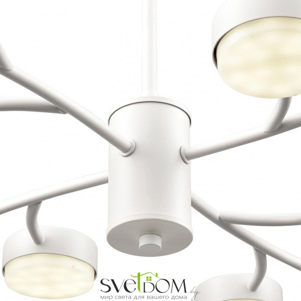 8265/12 COMFI LN26 233 металл, белый Люстра GX53 LED 12*7W 220V TORINA